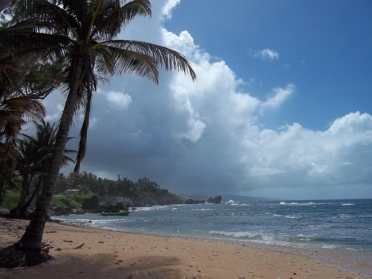 Ocean Ridge At Long Beach Christ Church Eksteriør bilde